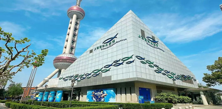 上海海洋水族馆门票团购(上海海洋水族馆门票团购多少钱)_http://www.lvxing114.com_旅游攻略_第1张